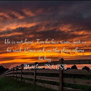 Meet your Posher, Melba